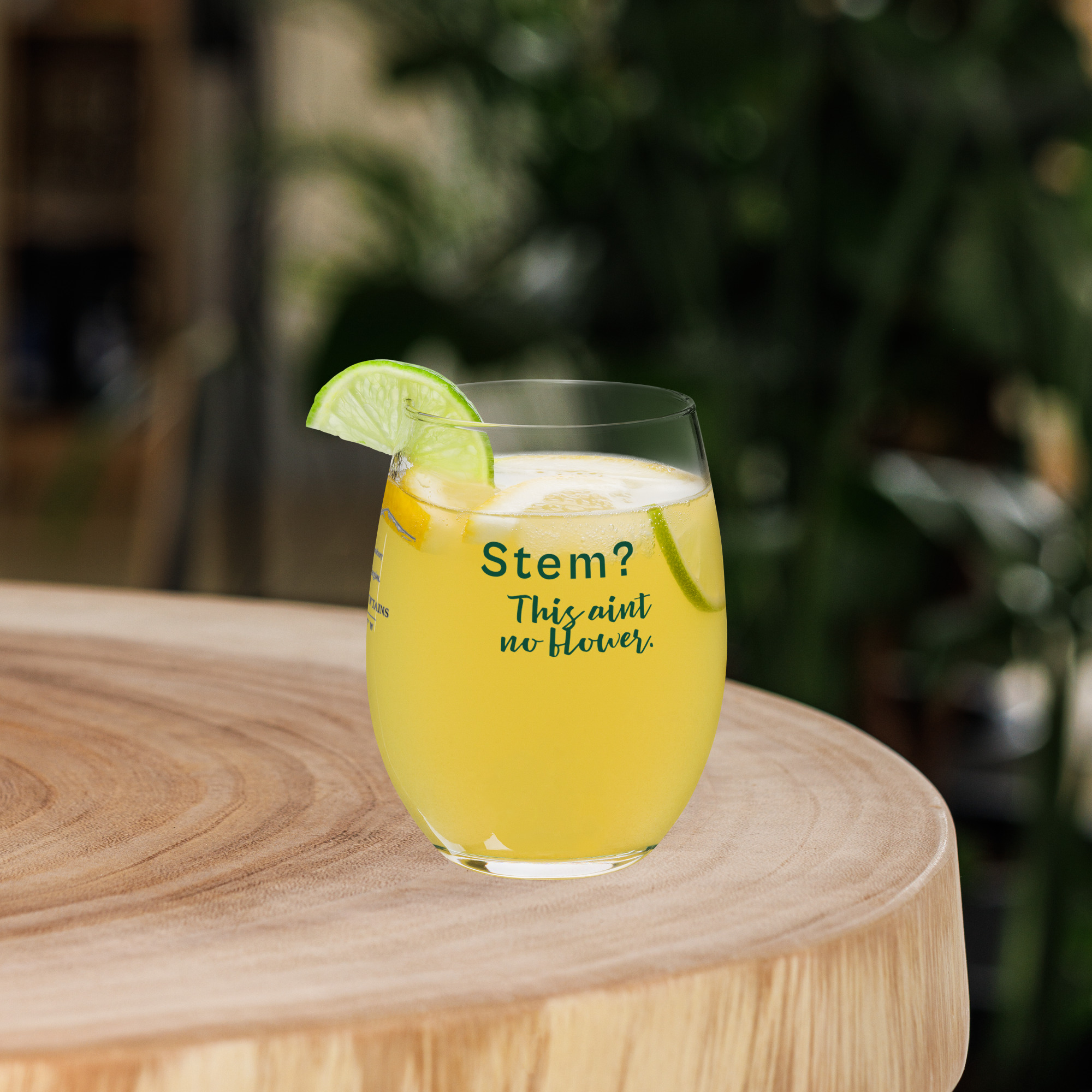 Stemless Wine Glass | Ain't No Flower
