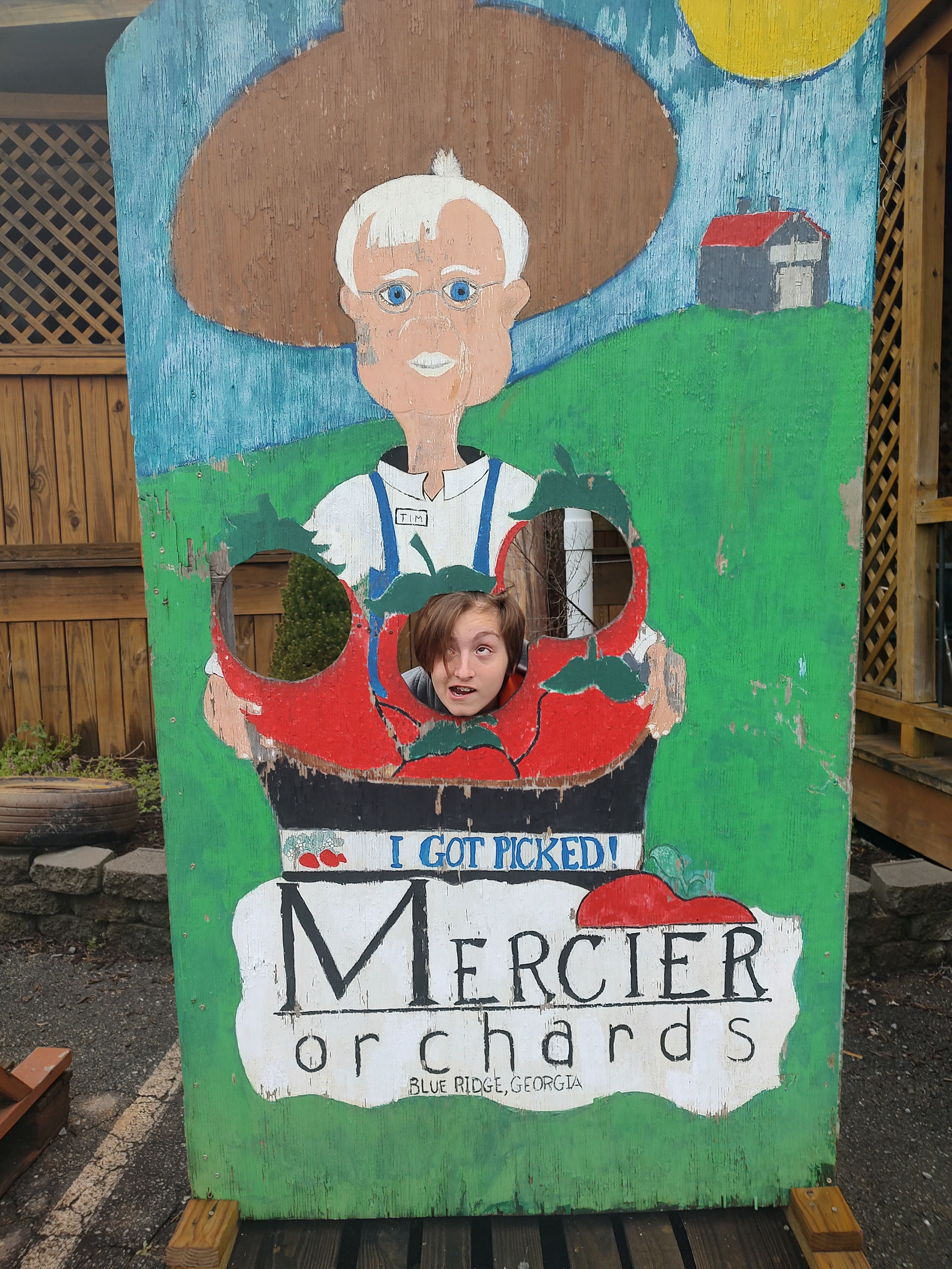 A child posing in the I Got Picked photo cutout sign at Mercier Orchards in Blue Ridge GA.