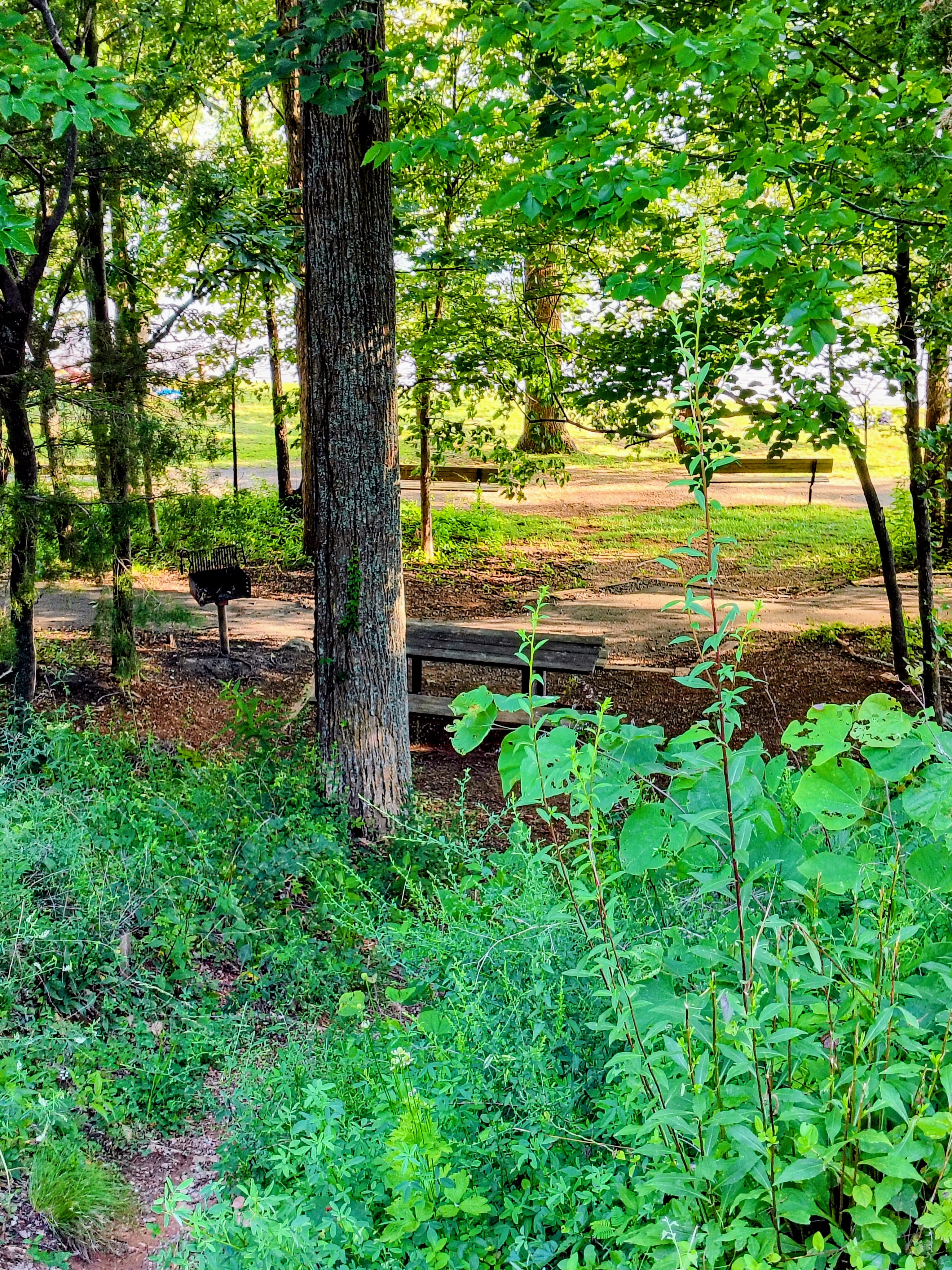 Secret Mountain Beach Picnic Area