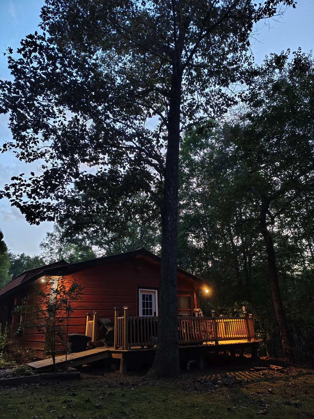 Quiet Night Stars Light Show in the National Forest of Tennessee